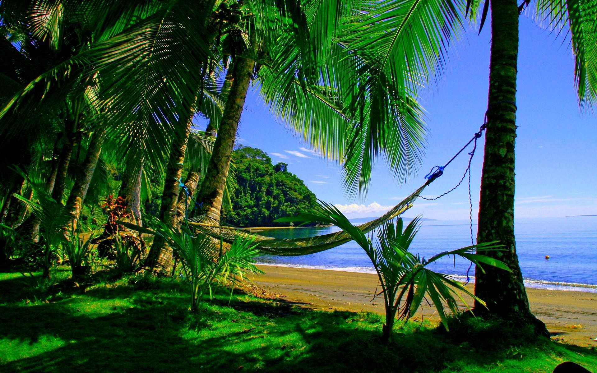 Fondo de pantalla de  1920x1200