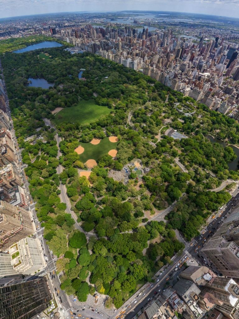 Fondo de pantalla de  768x1024