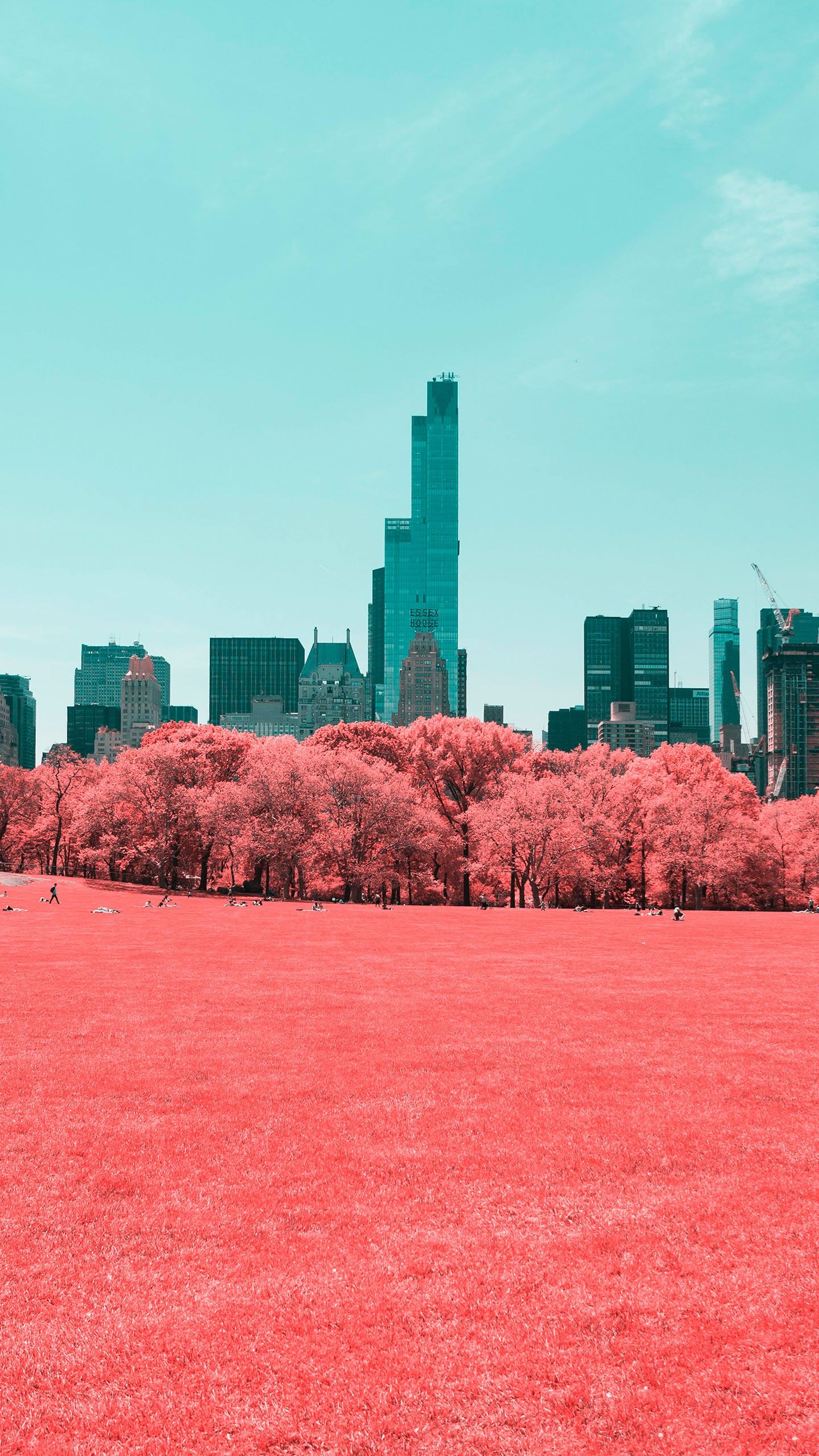 Fondo de pantalla de  1440x2560