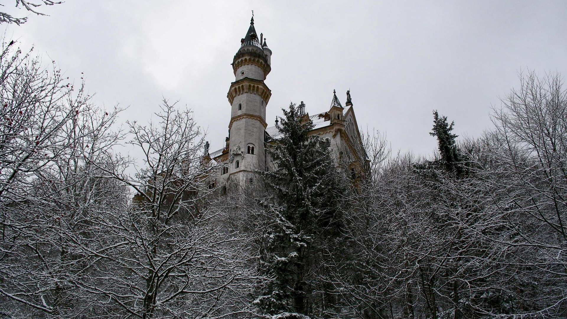 Fondo de pantalla de  1920x1080