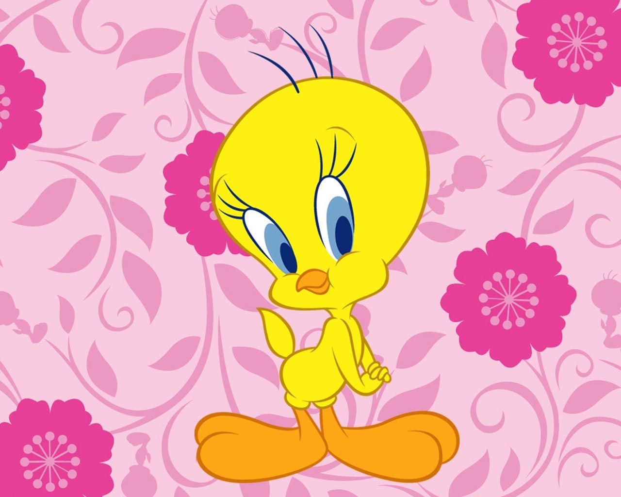 Fondo de pantalla de  1280x1024