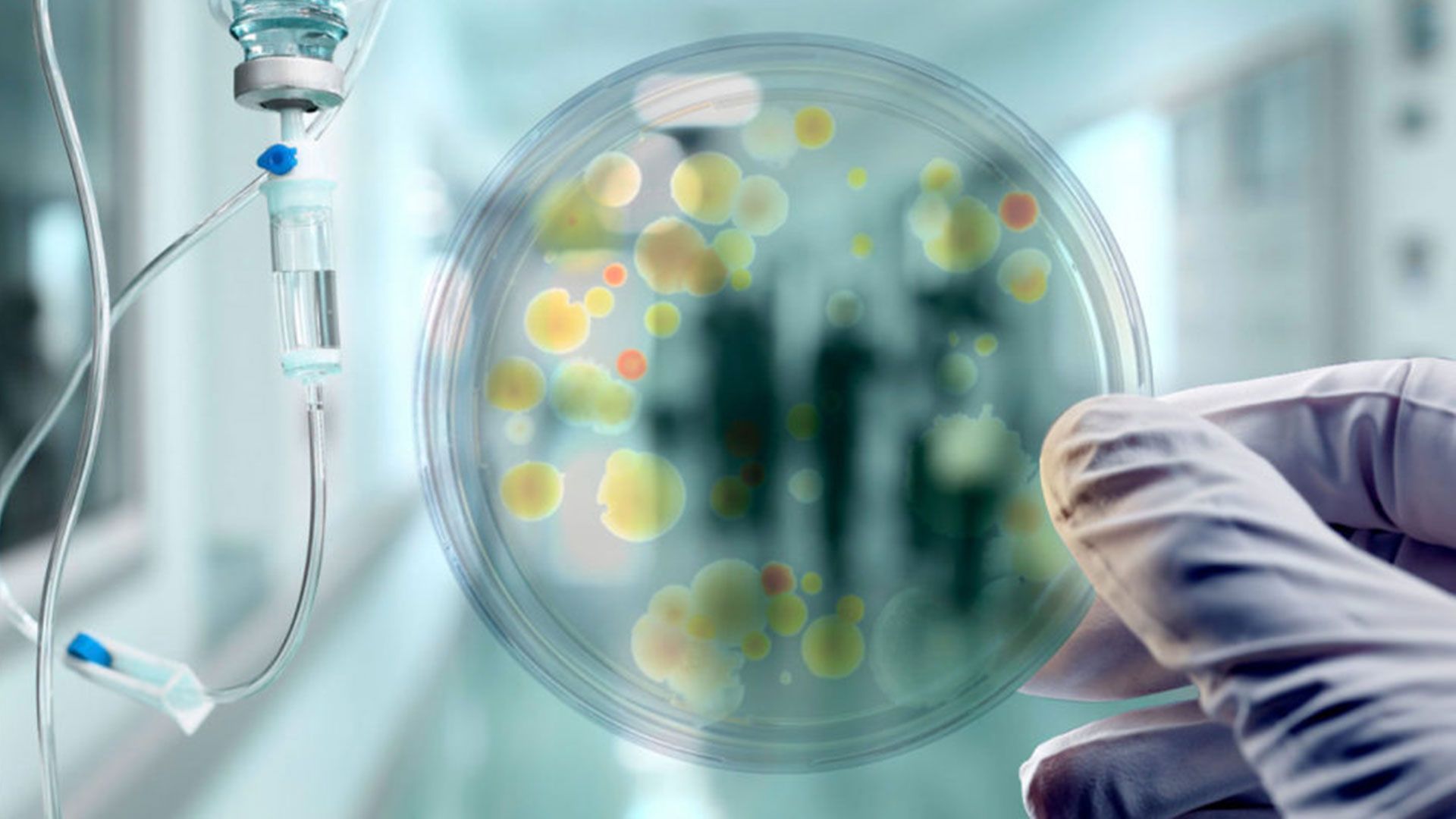 Fondo de pantalla de  1920x1080