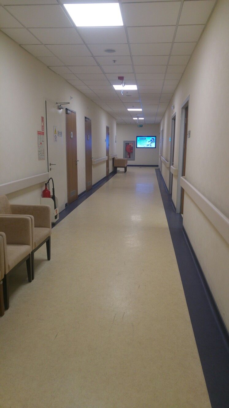 Fondo de pantalla de  747x1328