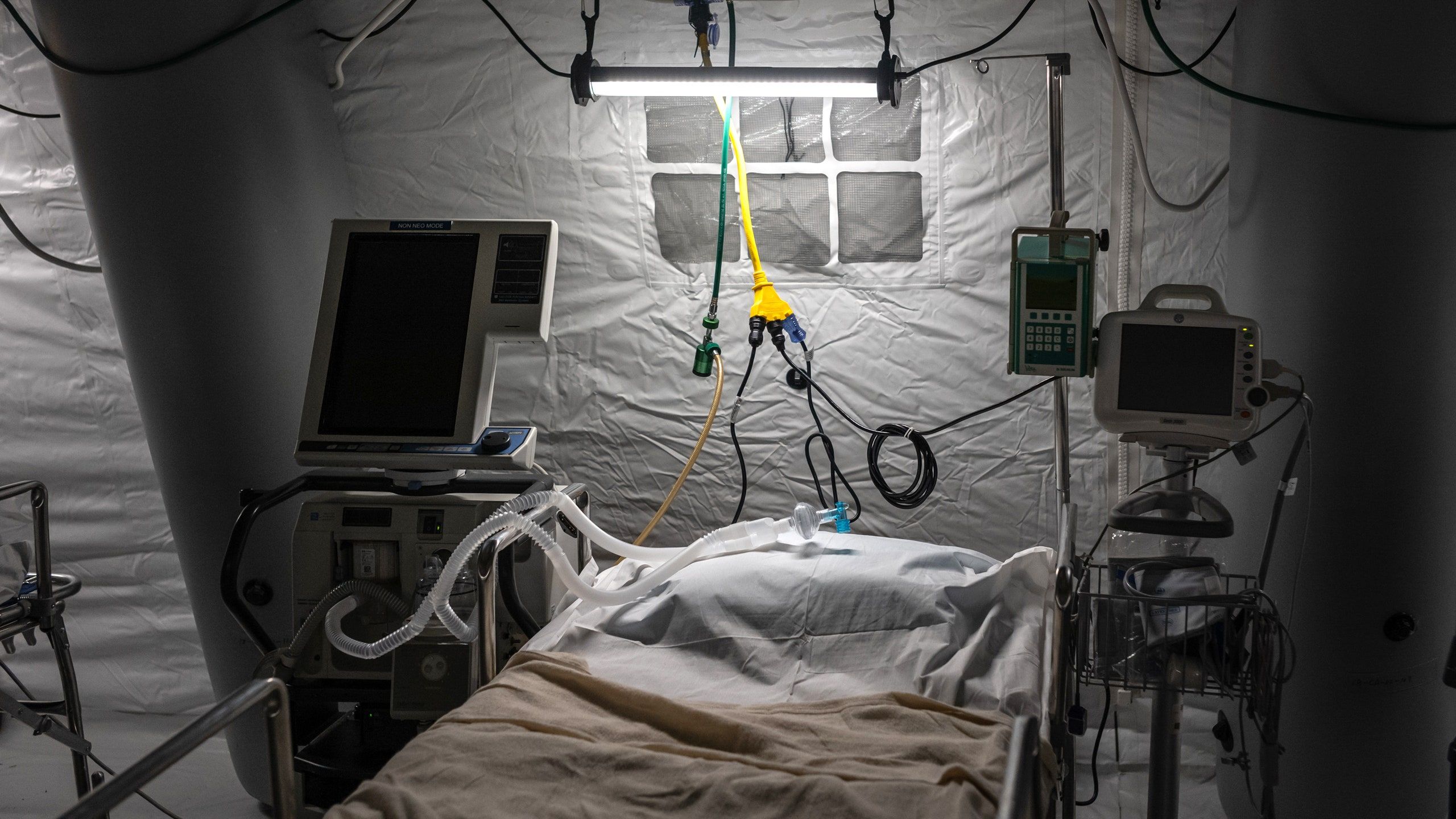 Fondo de pantalla de  2560x1440