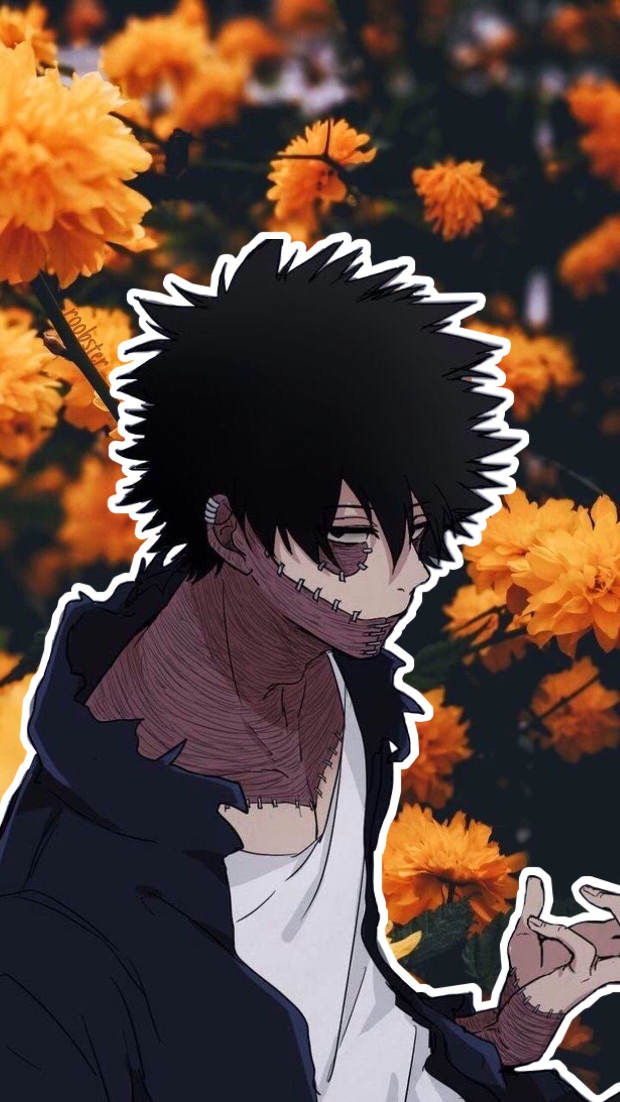 Fondo de pantalla de  1242x2208