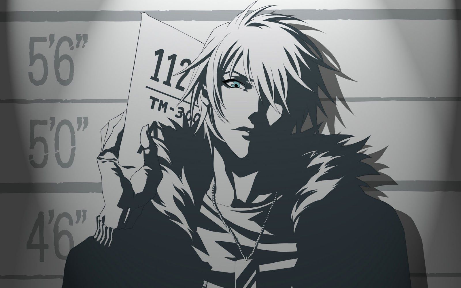 Fondo de pantalla de  1600x1000