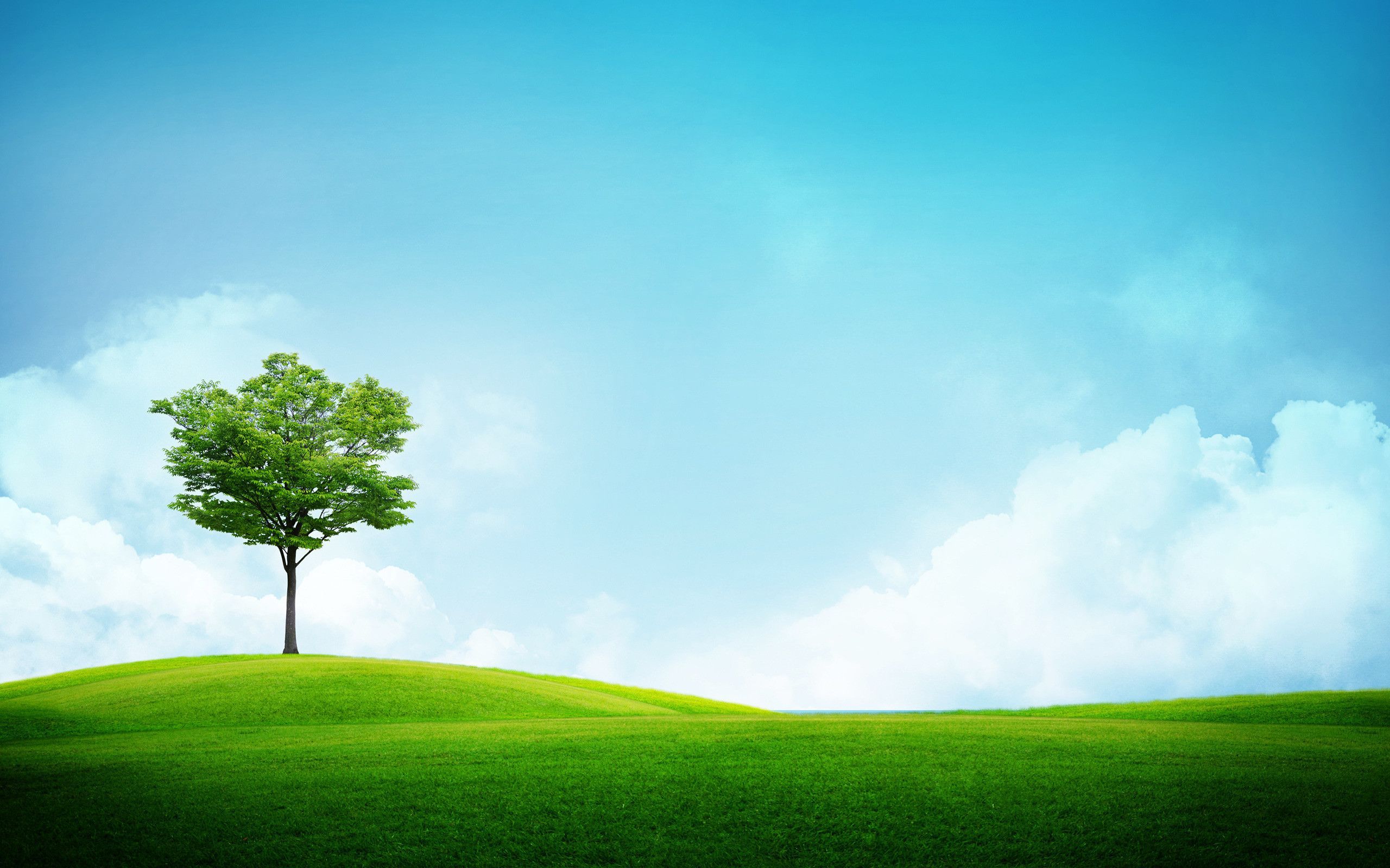 Fondo de pantalla de  2560x1600