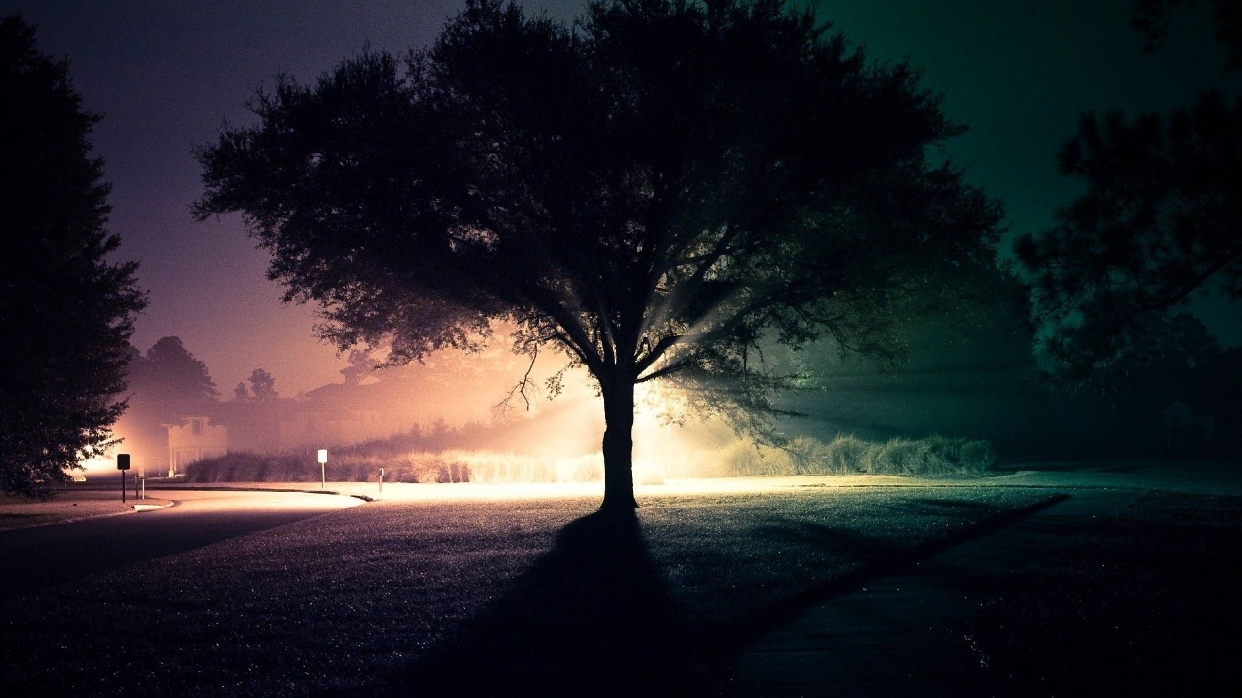 Fondo de pantalla de  2560x1440