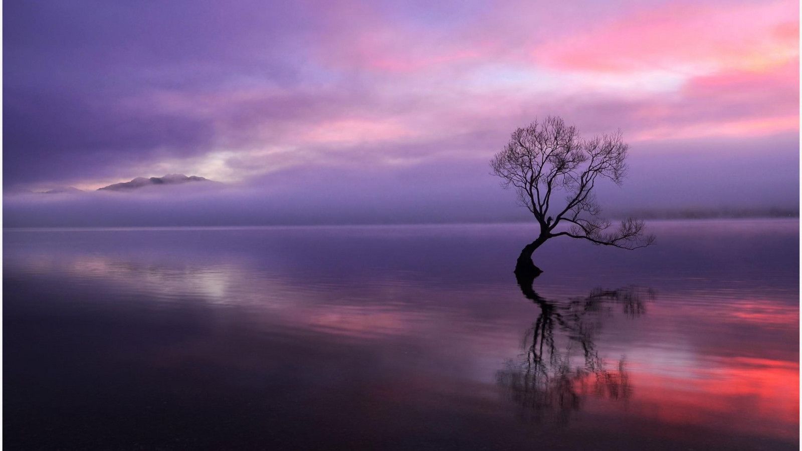 Fondo de pantalla de  1600x900
