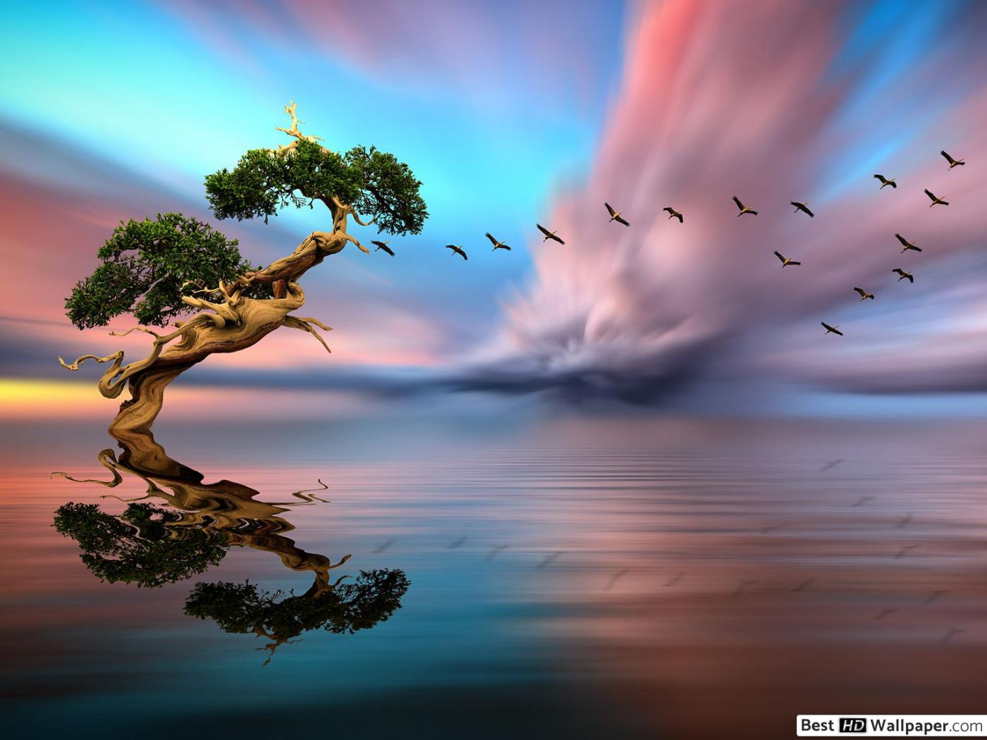 Fondo de pantalla de  1400x1050