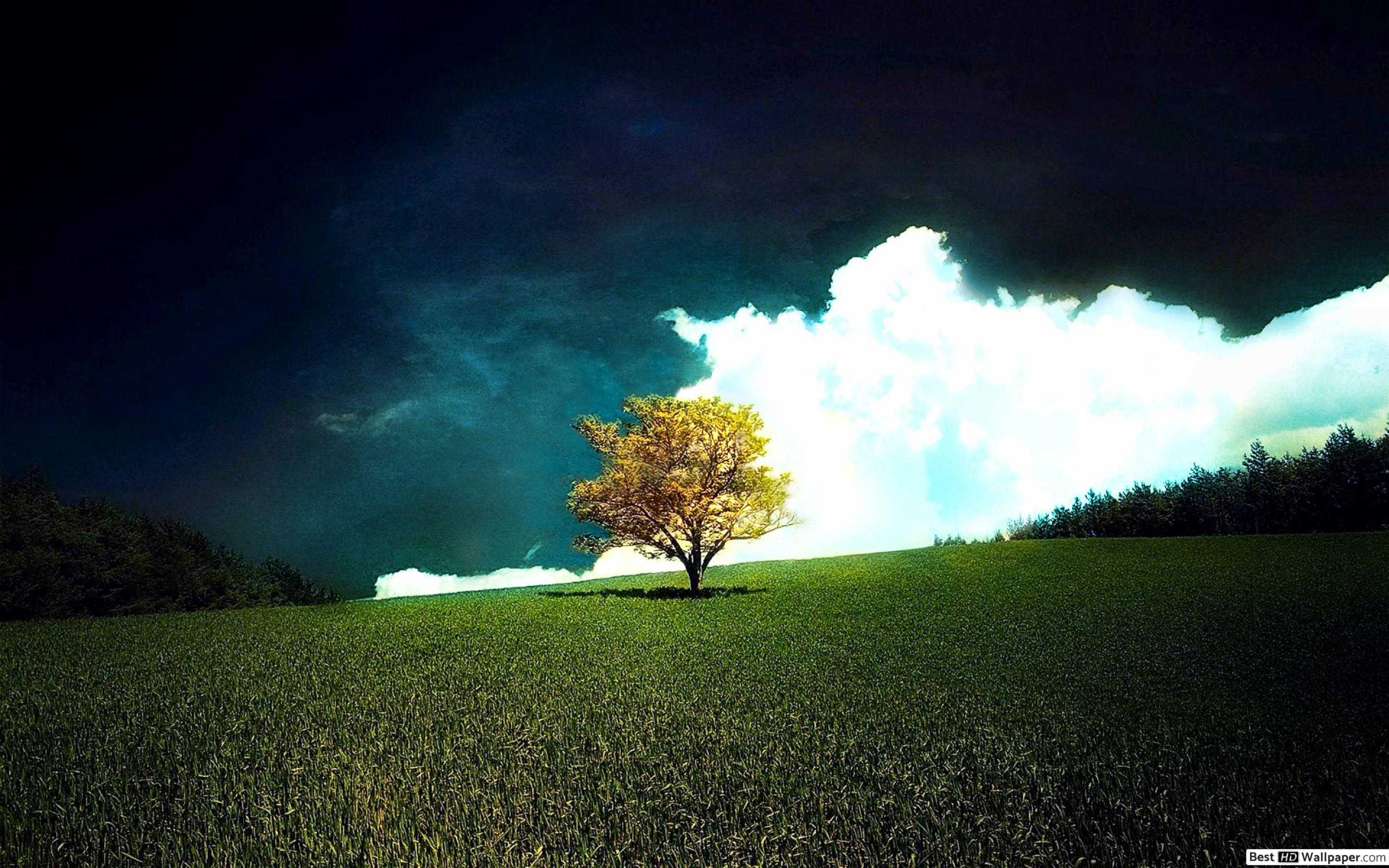 Fondo de pantalla de  2560x1600