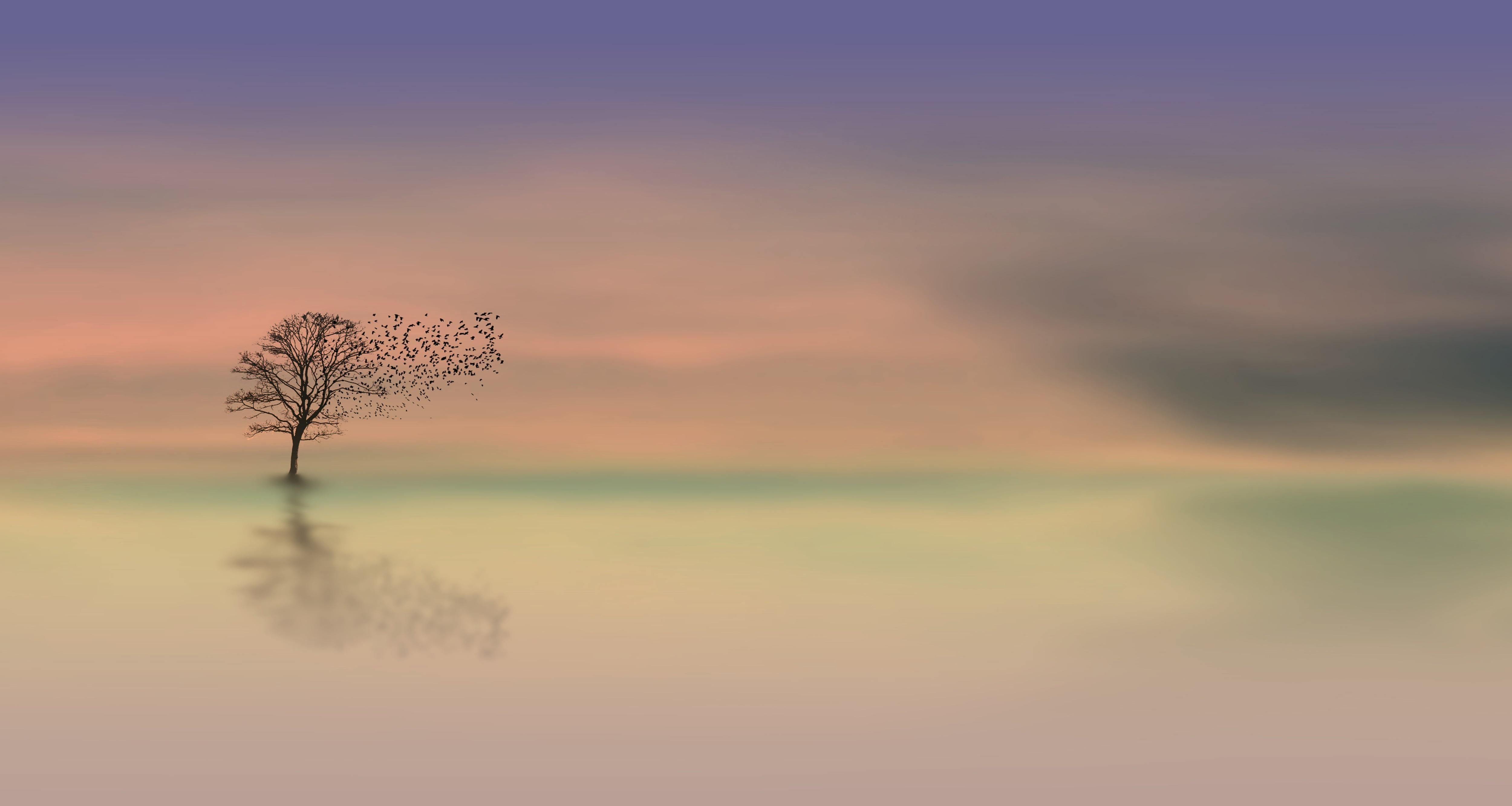 Fondo de pantalla de  5000x2666