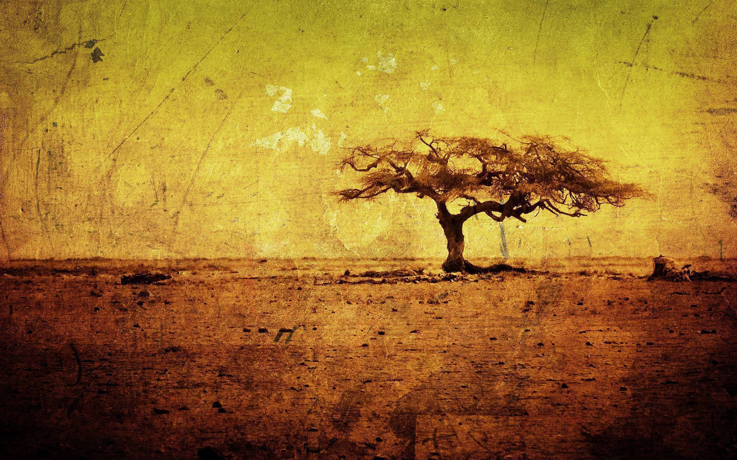 Fondo de pantalla de  2560x1600