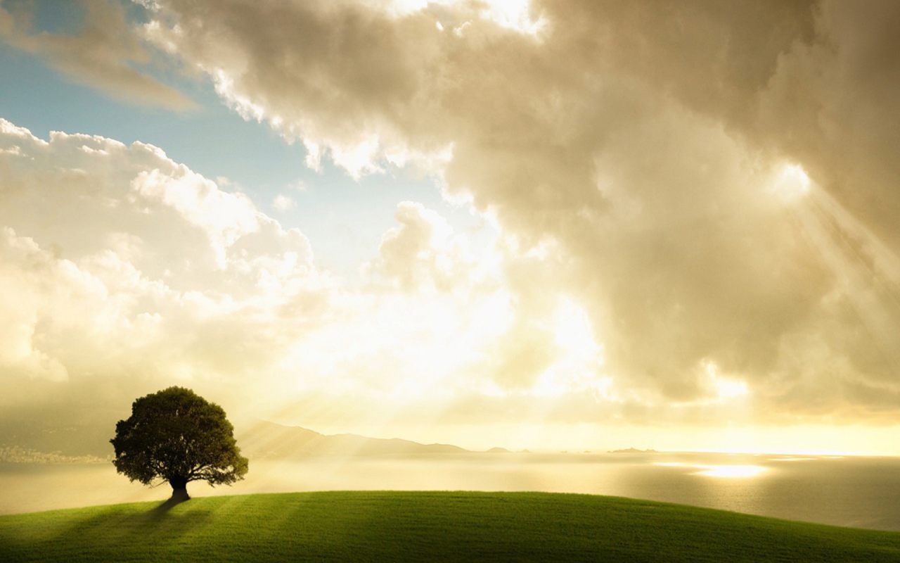 Fondo de pantalla de  1280x800
