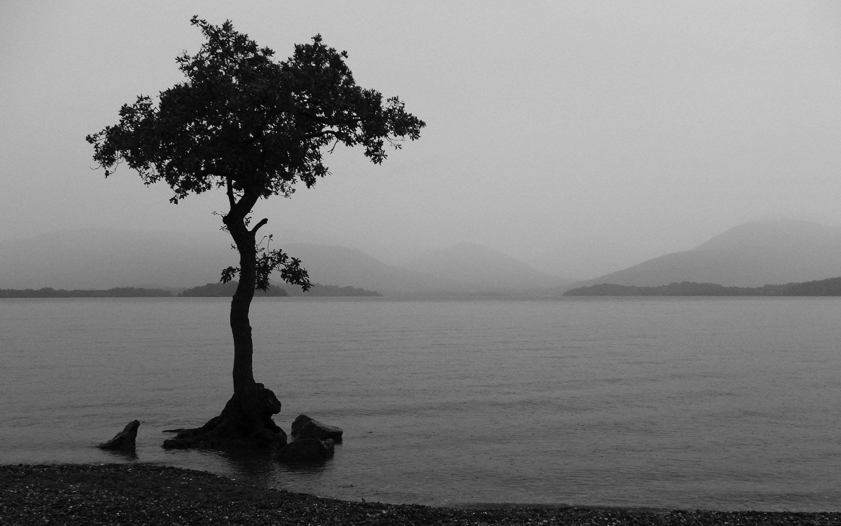 Fondo de pantalla de  1728x1080