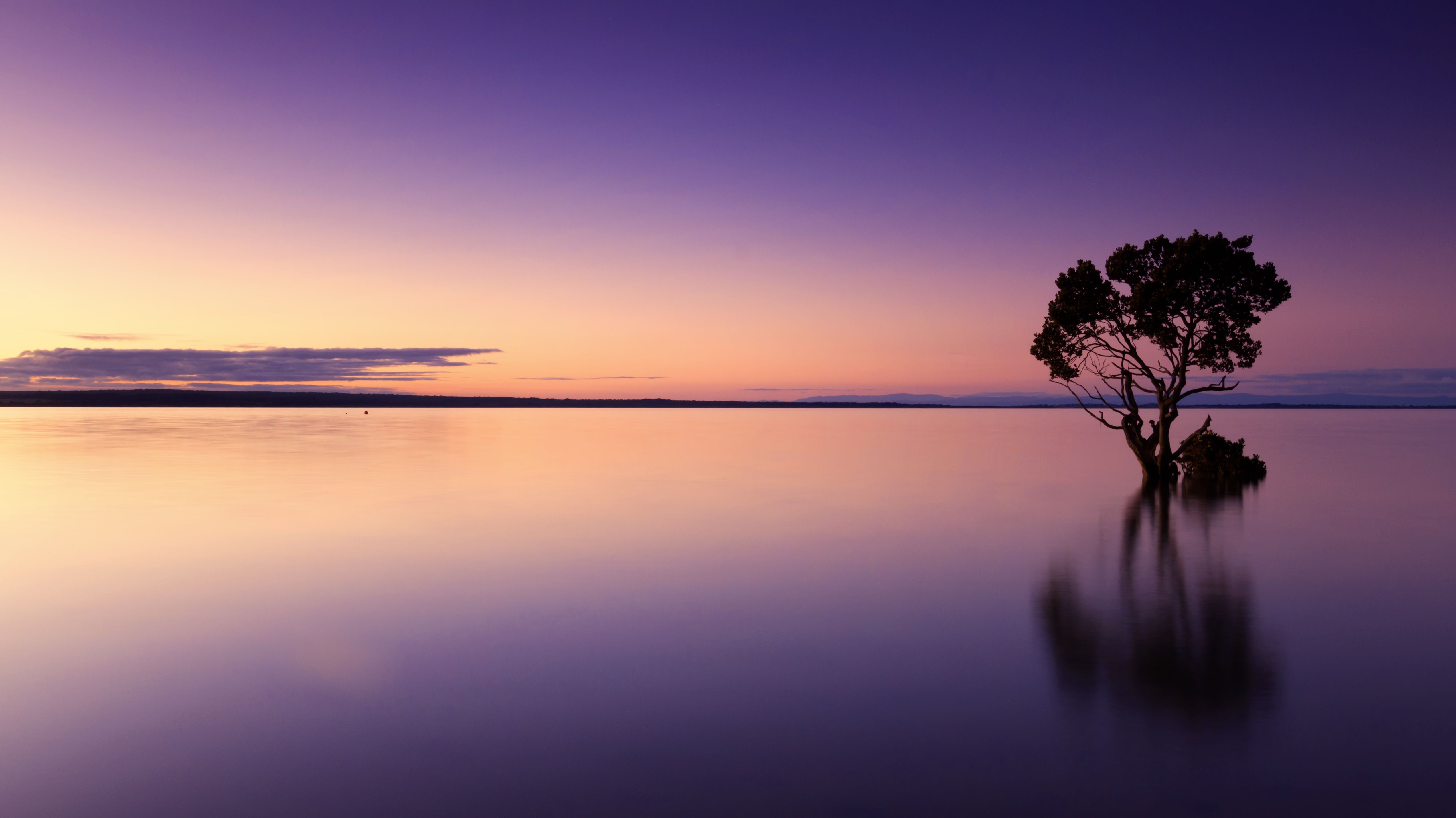 Fondo de pantalla de  5105x2871