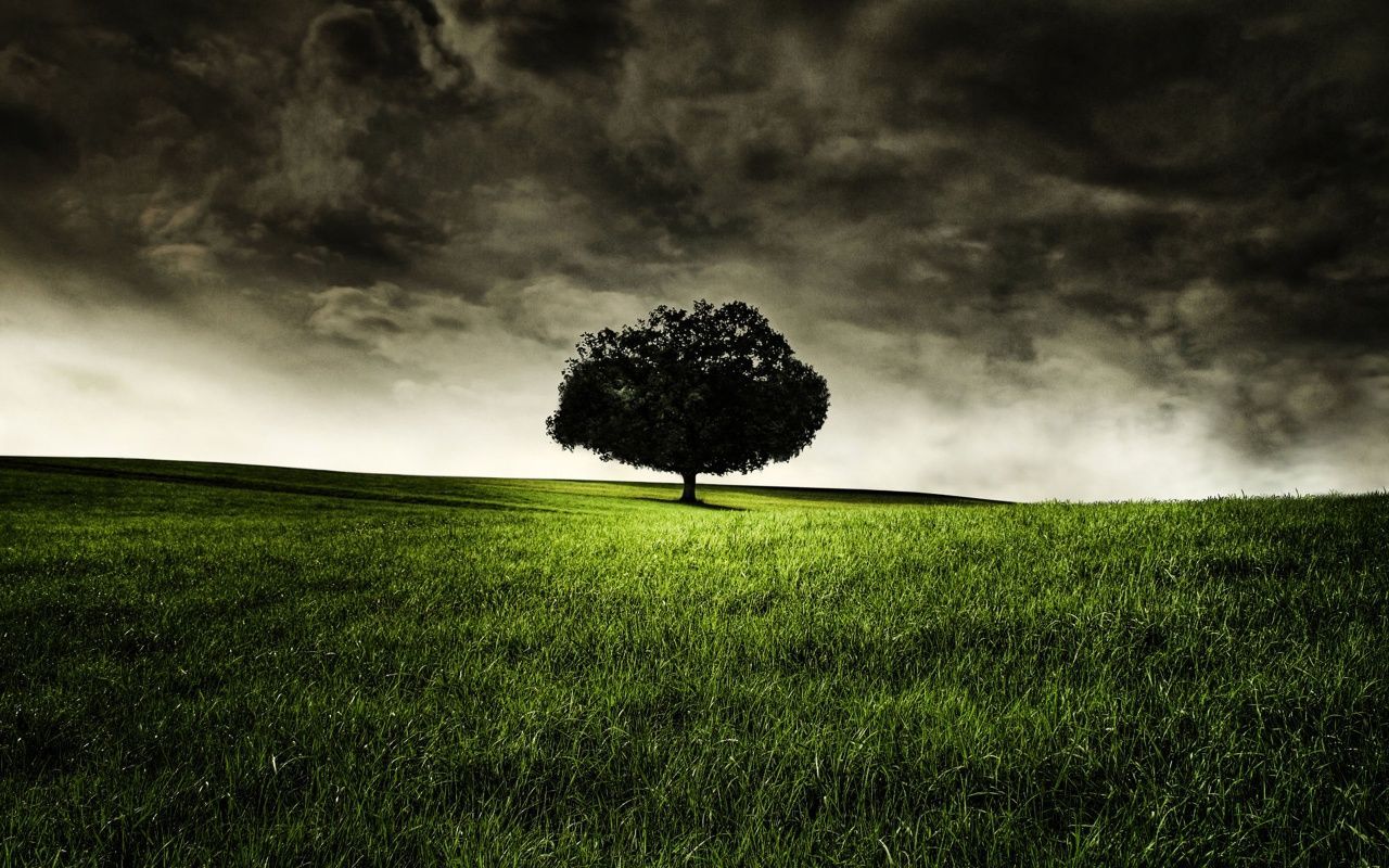 Fondo de pantalla de  1280x800
