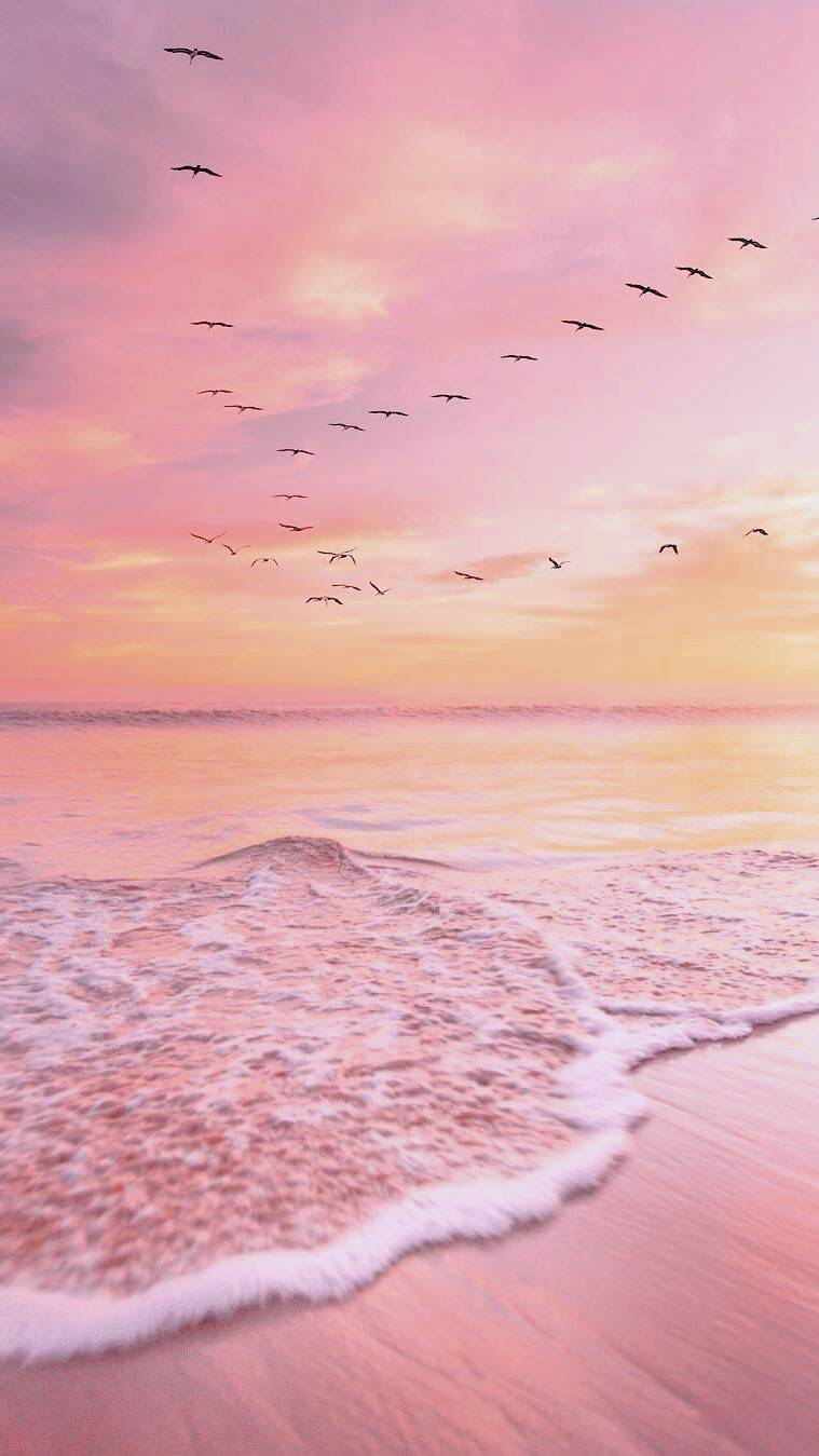 Fondo de pantalla de  759x1349