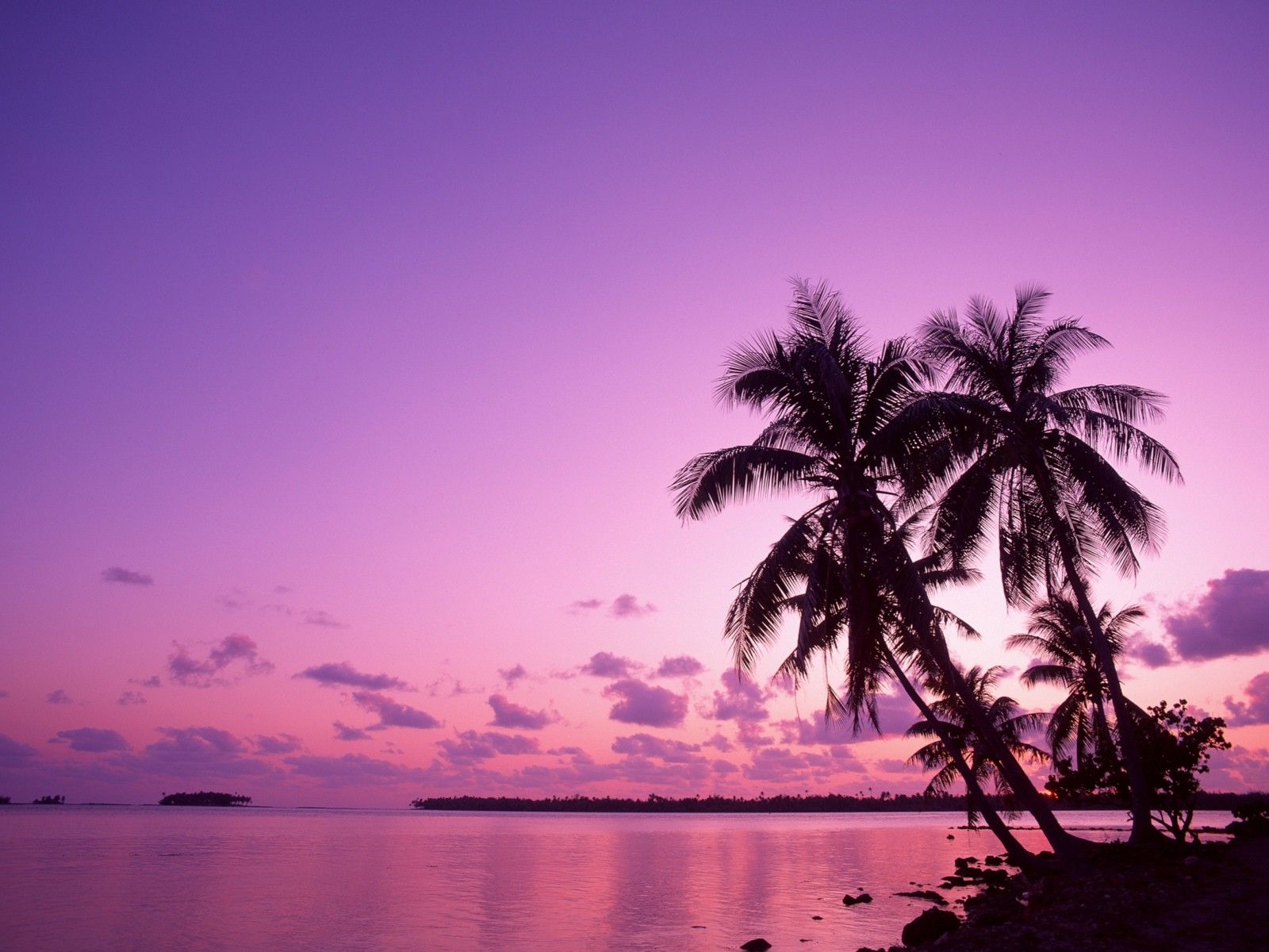 Fondo de pantalla de  1600x1200