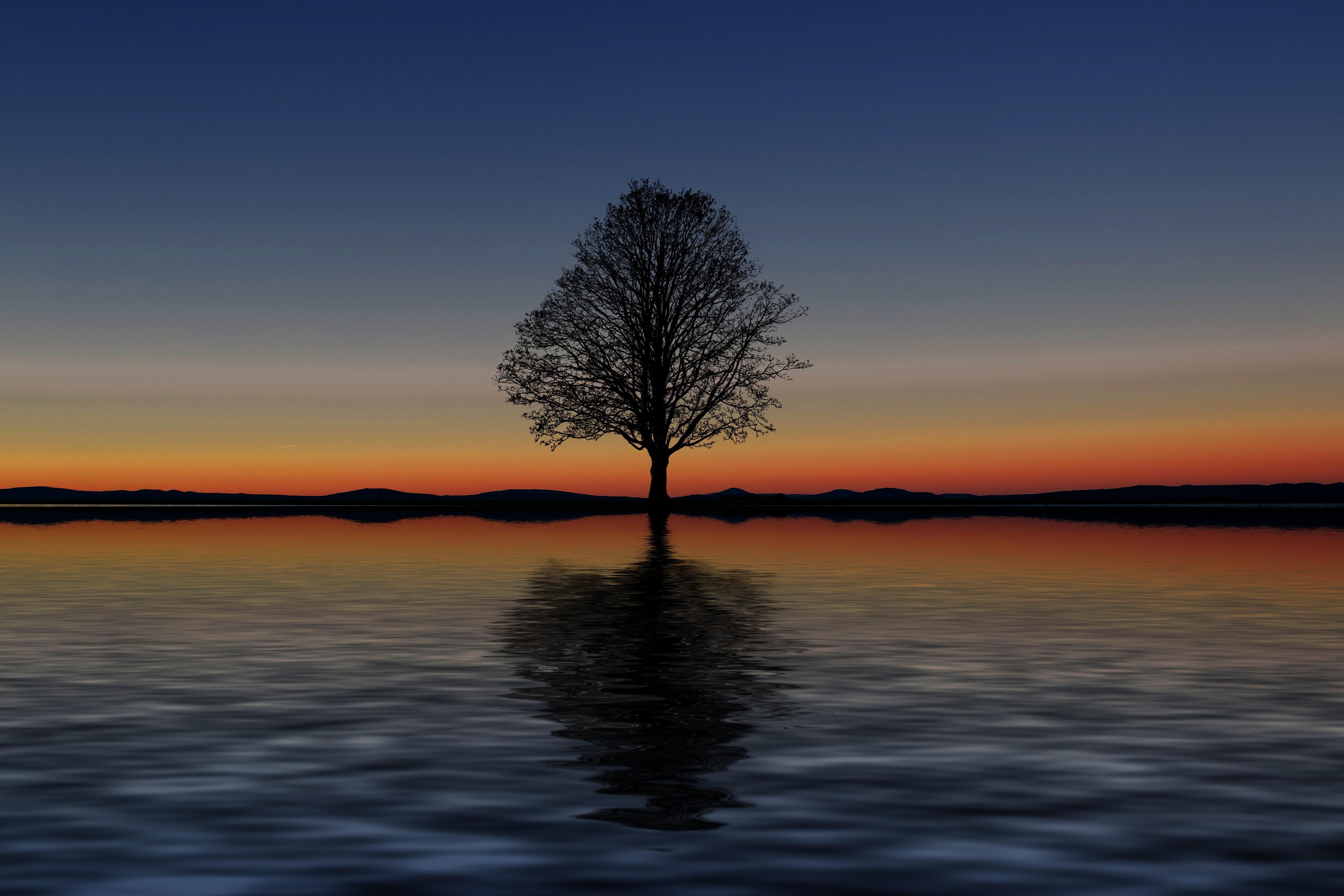 Fondo de pantalla de  5066x3377