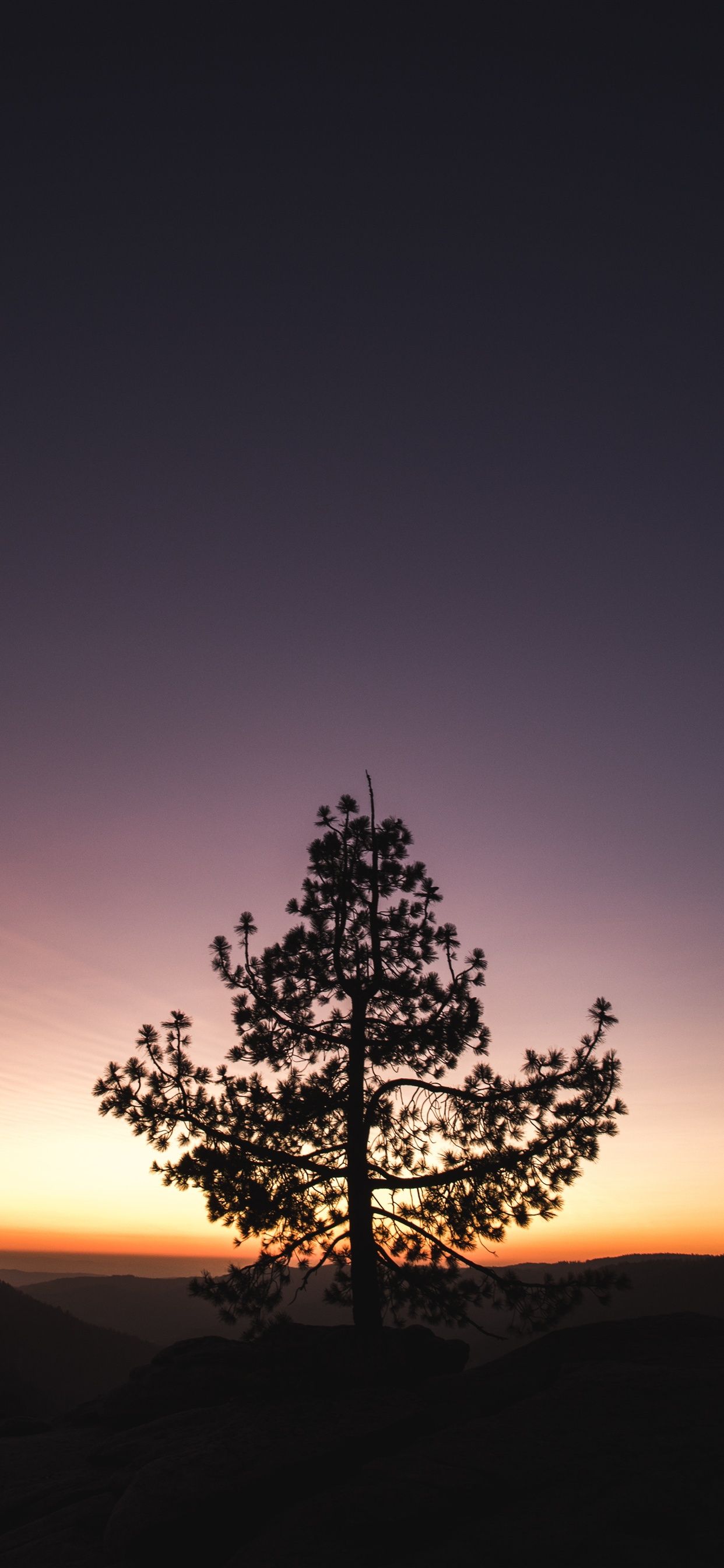 Fondo de pantalla de  1242x2688