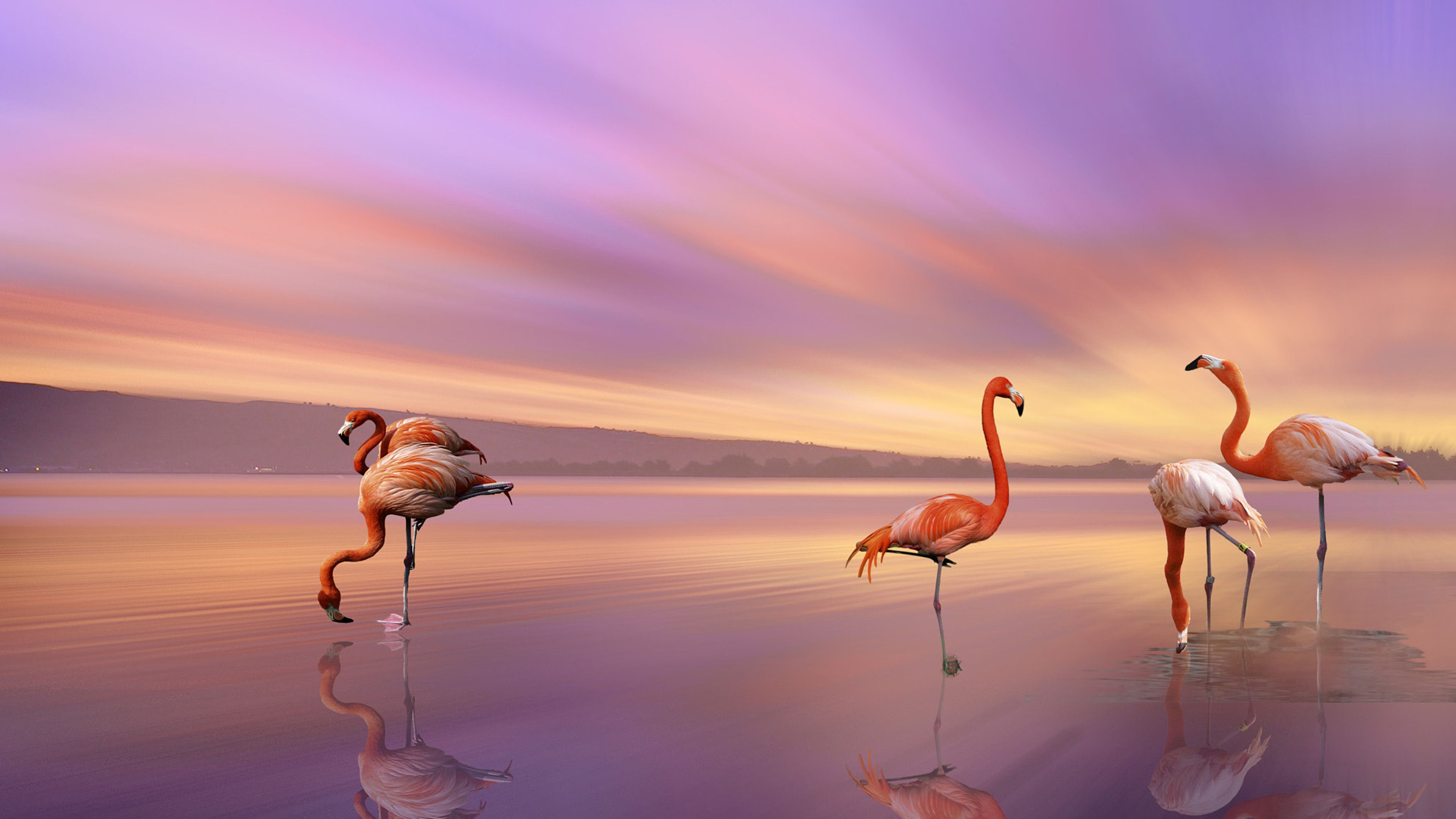 Fondo de pantalla de  3840x2160