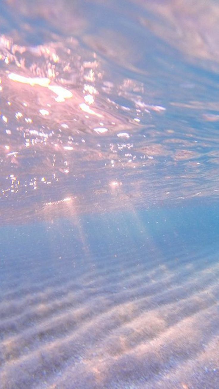 Fondo de pantalla de  736x1309