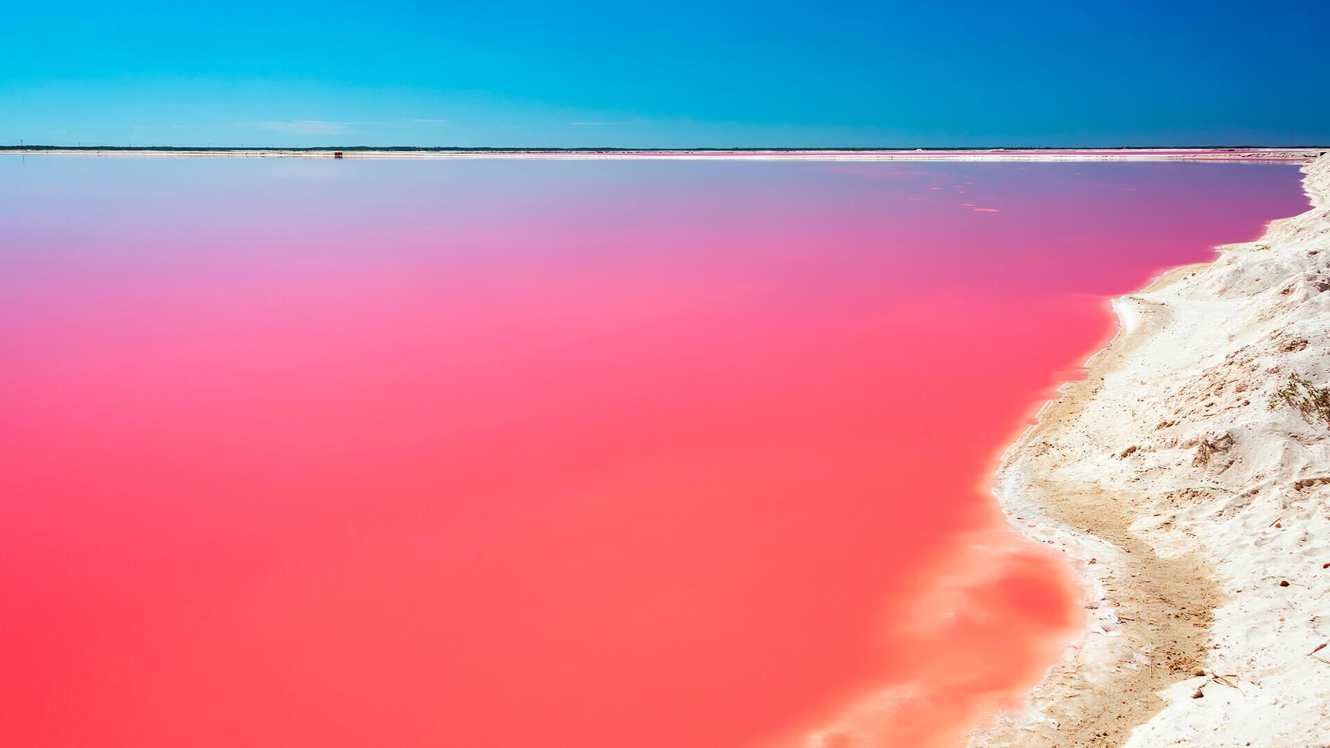 Fondo de pantalla de  1920x1080