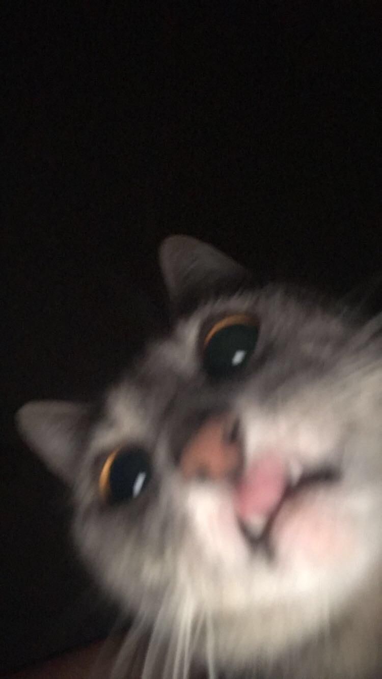 Fondo de pantalla de  750x1334