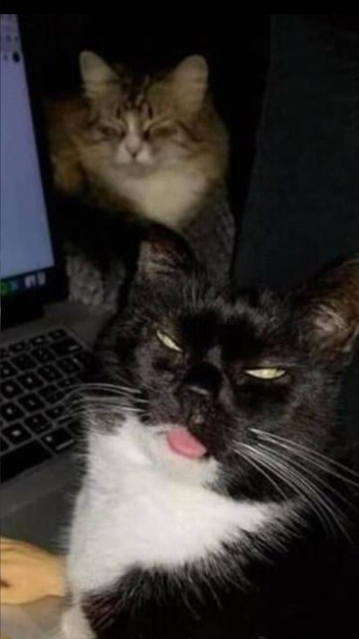 Fondo de pantalla de  720x1280