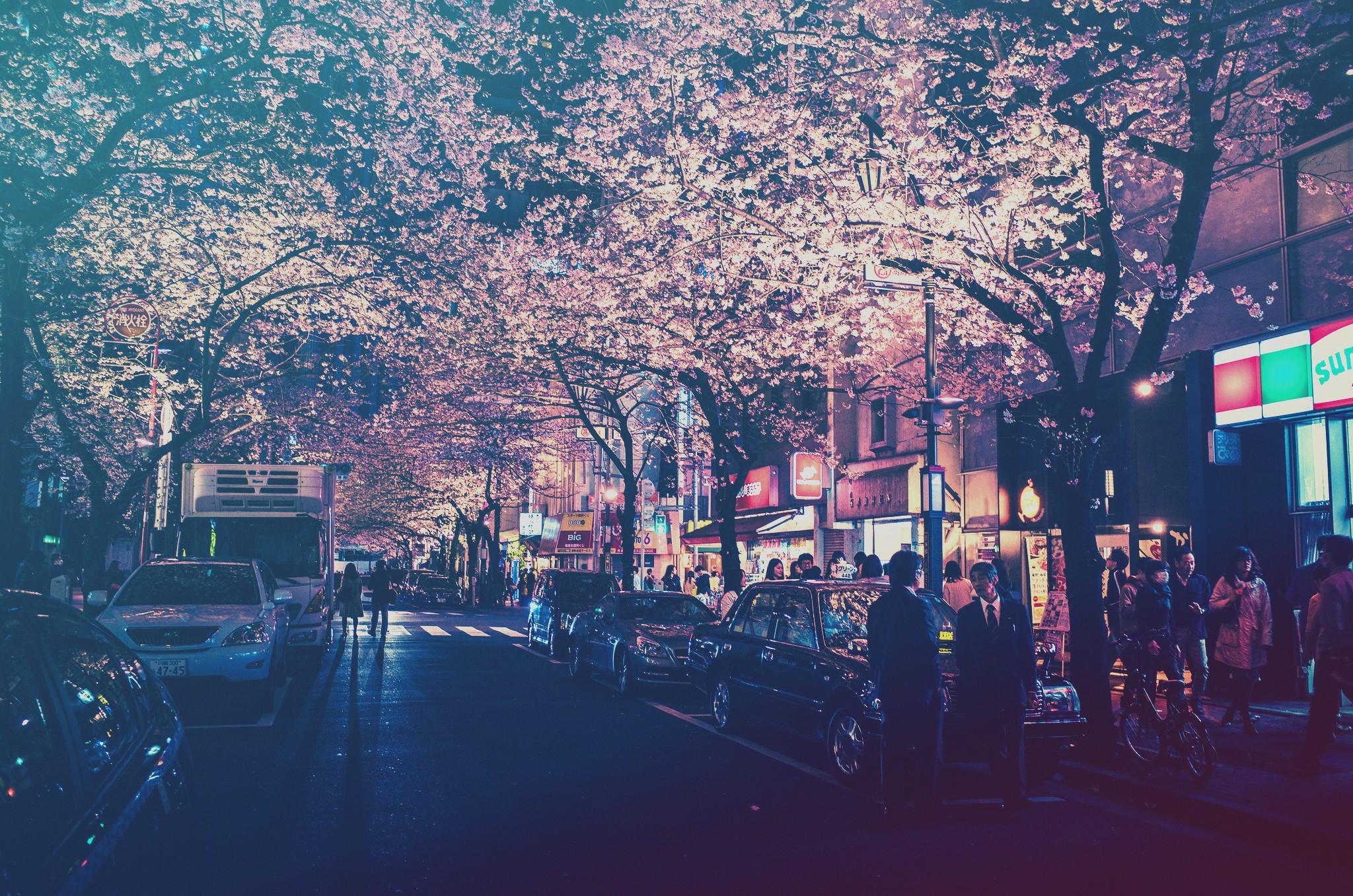 Fondo de pantalla de  2048x1357