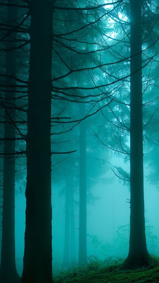 Fondo de pantalla de  675x1200