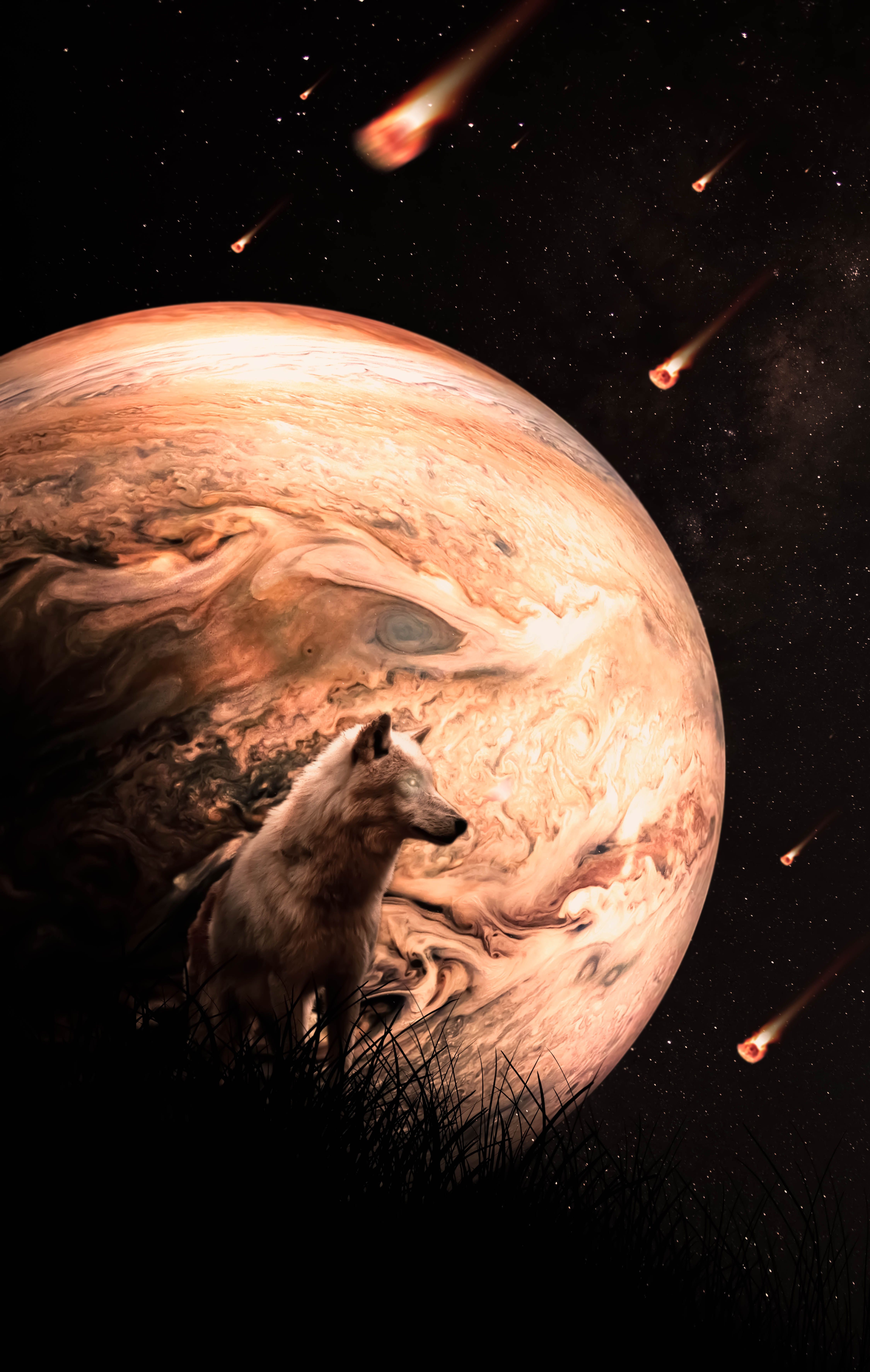 Fondo de pantalla de  4500x7100