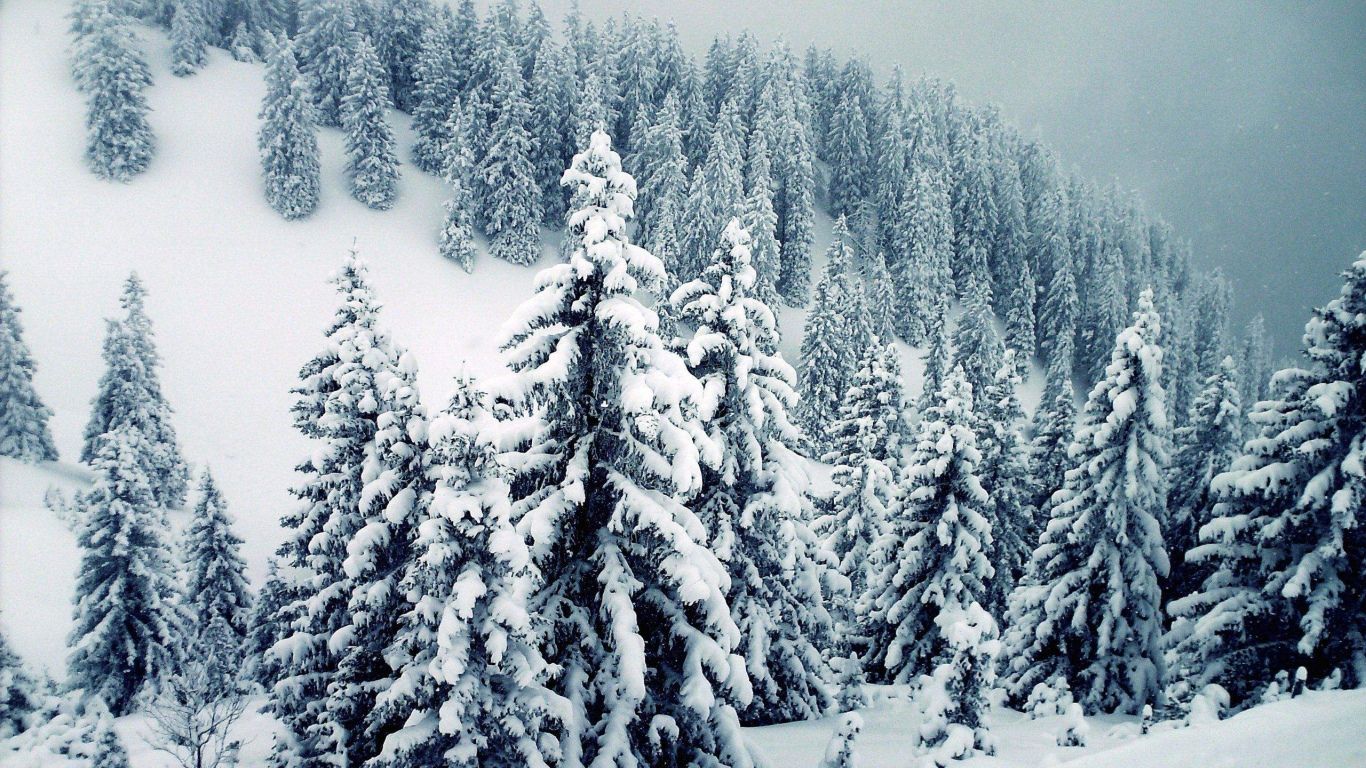 Fondo de pantalla de  1366x768