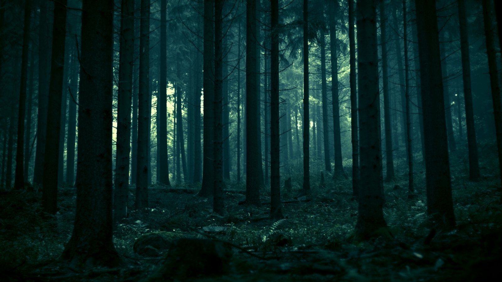 Fondo de pantalla de  1600x900