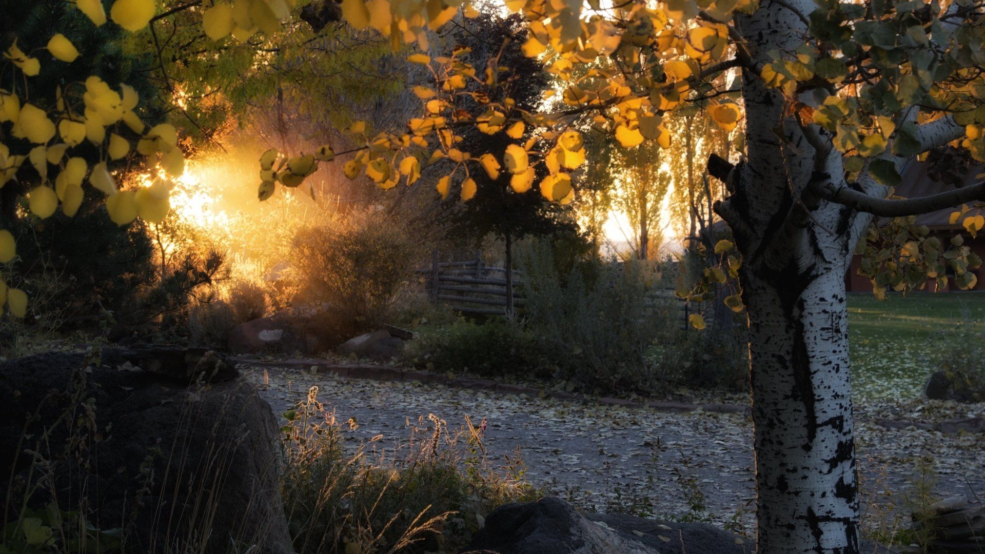 Fondo de pantalla de  1920x1080