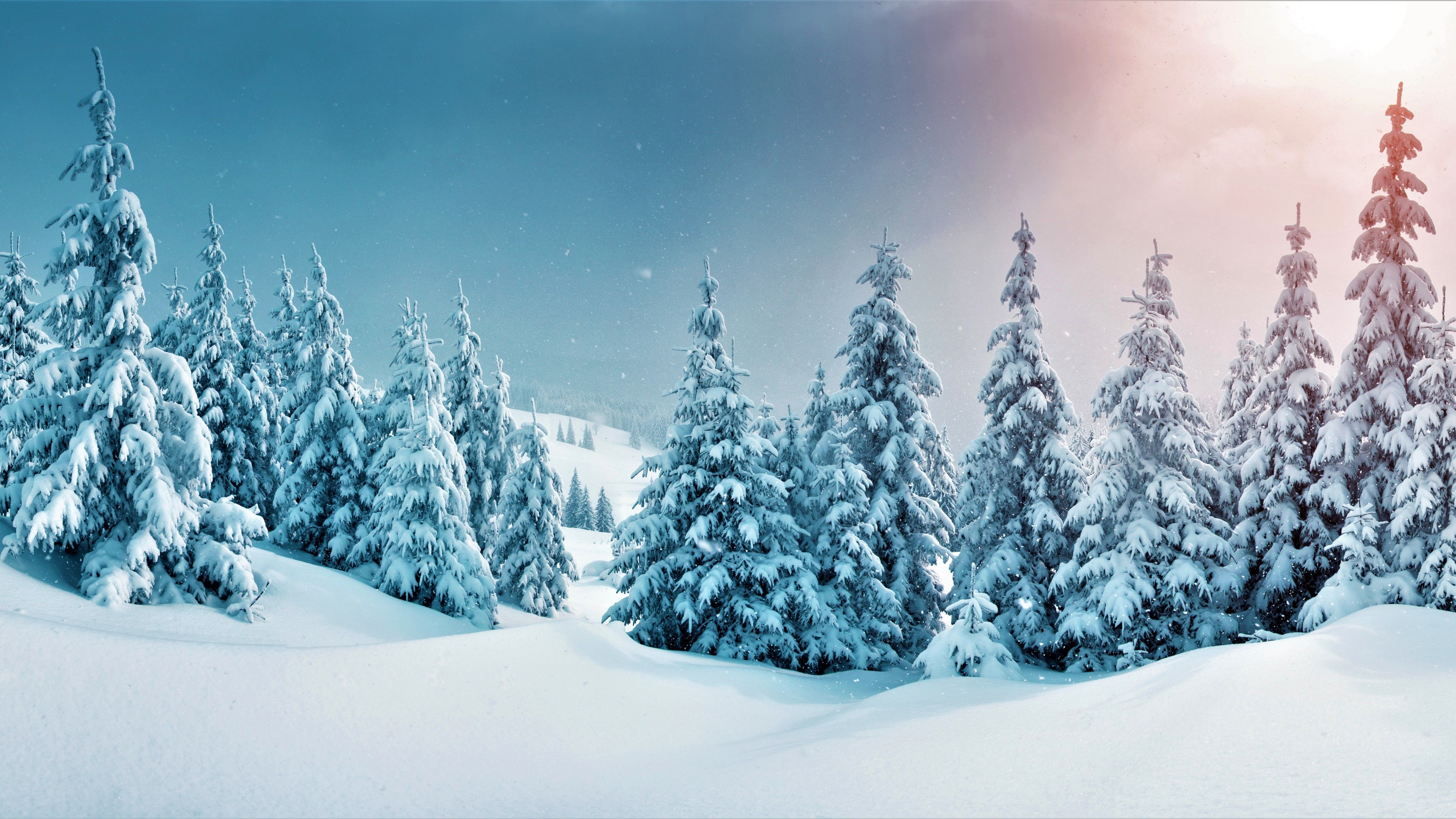 Fondo de pantalla de  5120x2880