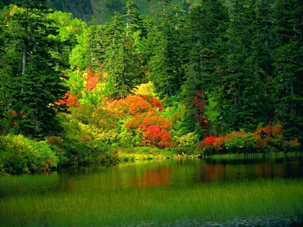 Fondo de pantalla de  1024x768