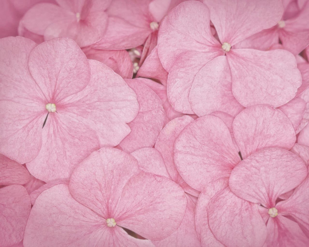 Fondo de pantalla de  1280x1024