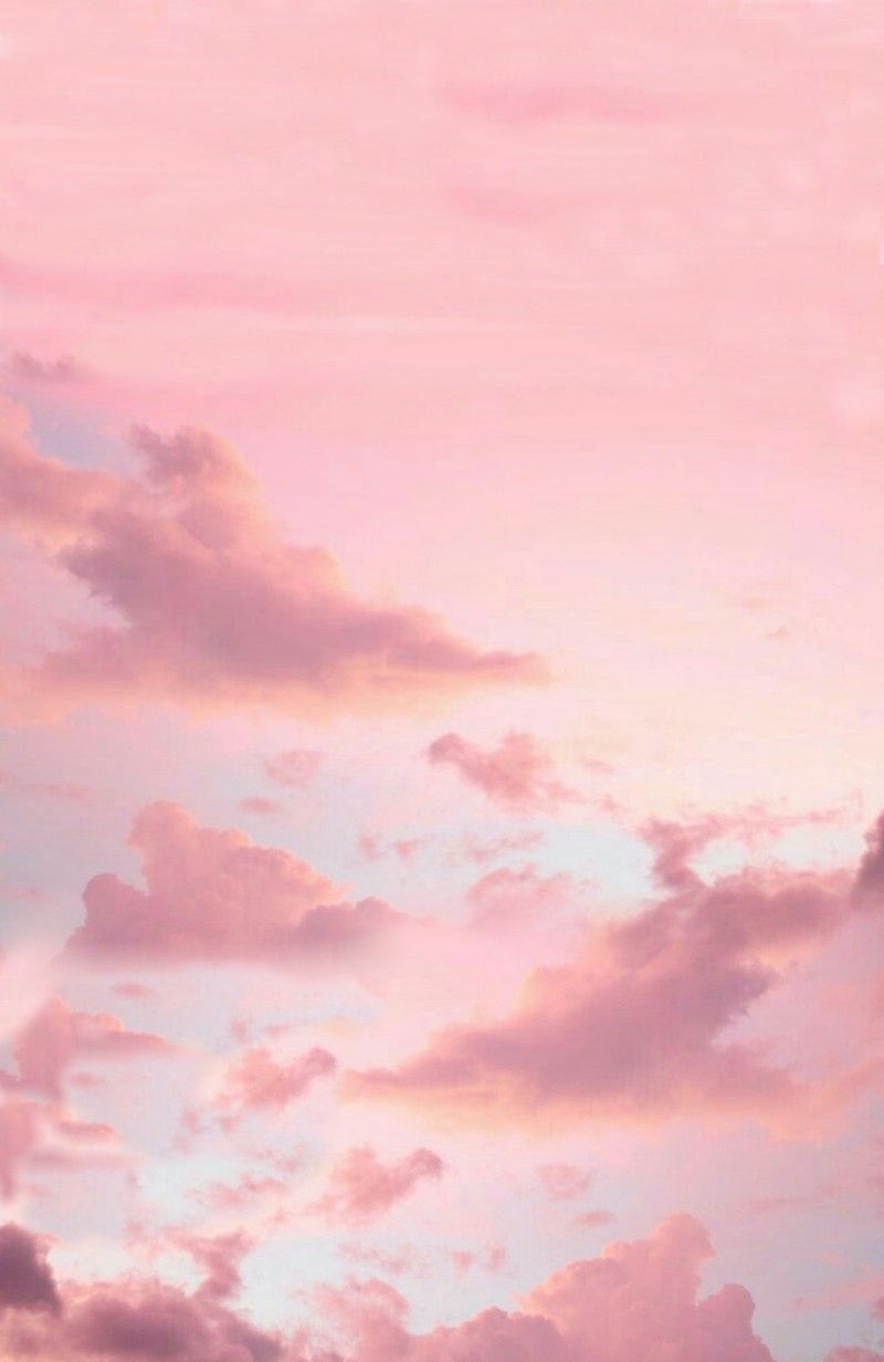 Fondo de pantalla de  800x1232