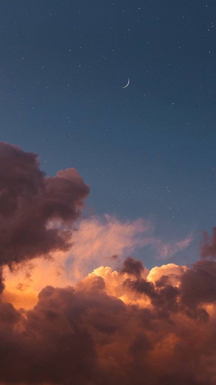 Fondo de pantalla de  736x1308