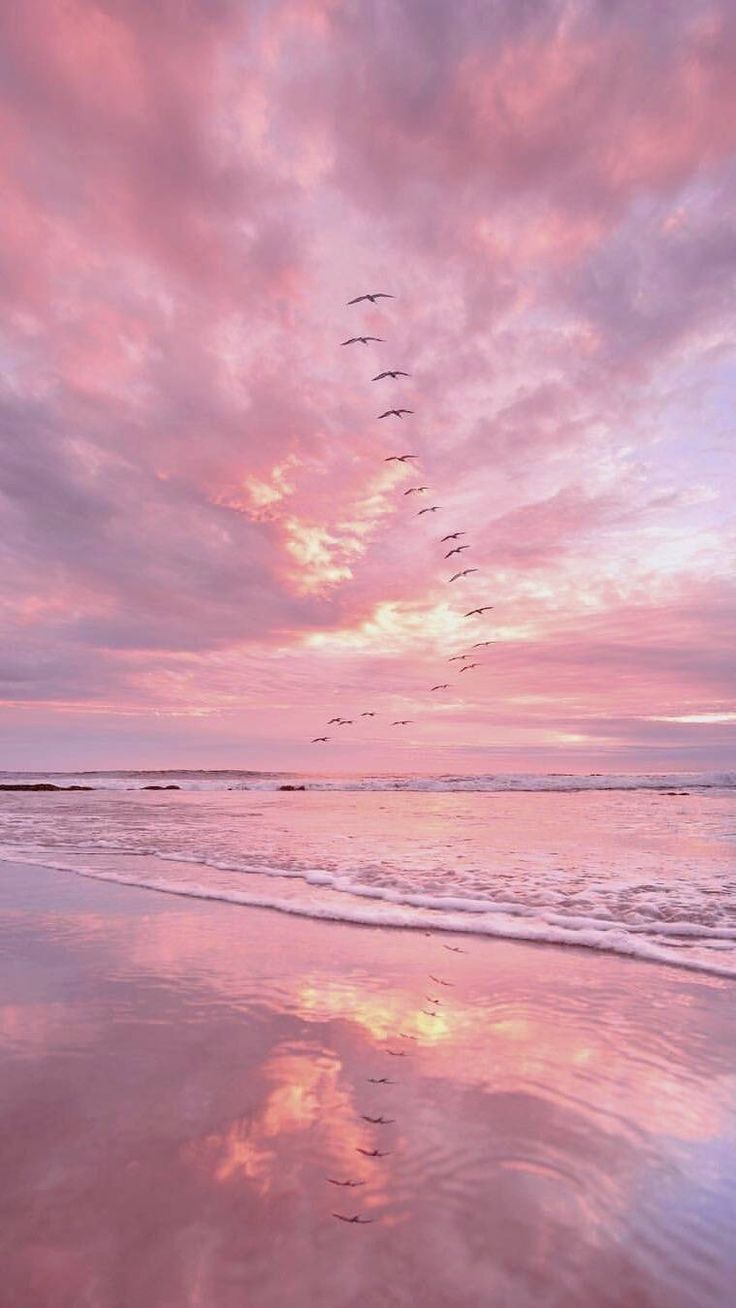 Fondo de pantalla de  736x1308