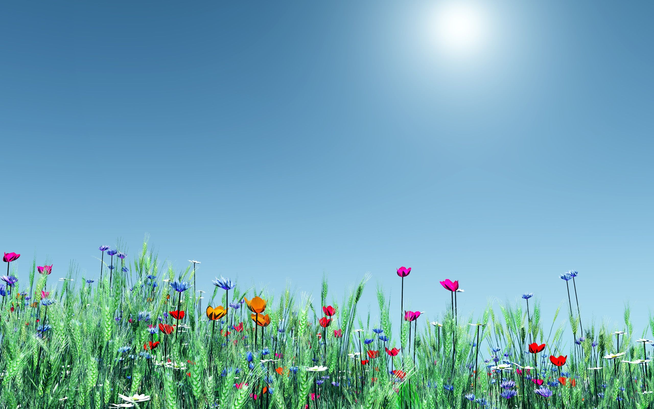 Fondo de pantalla de  2560x1600