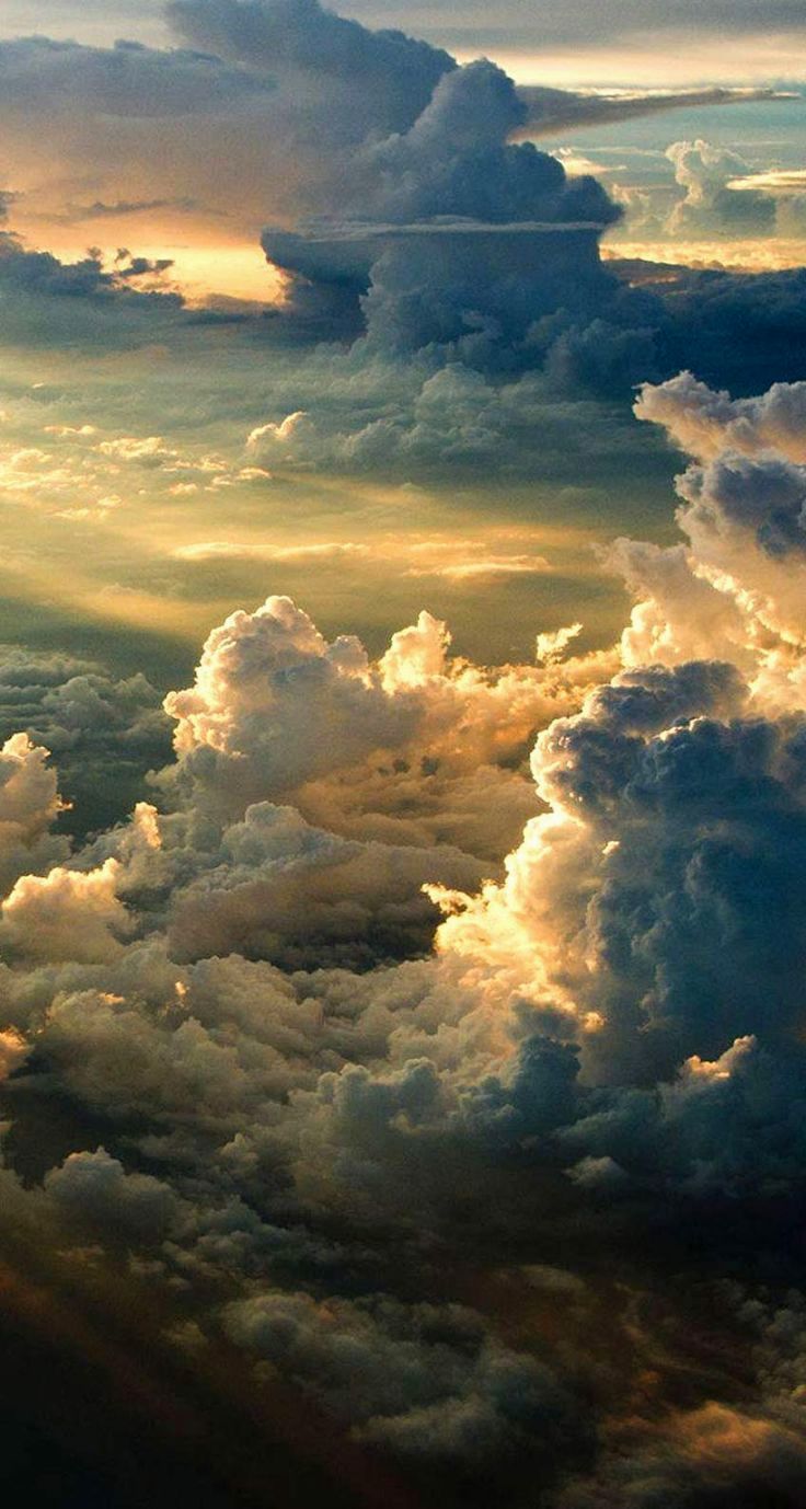 Fondo de pantalla de  736x1378