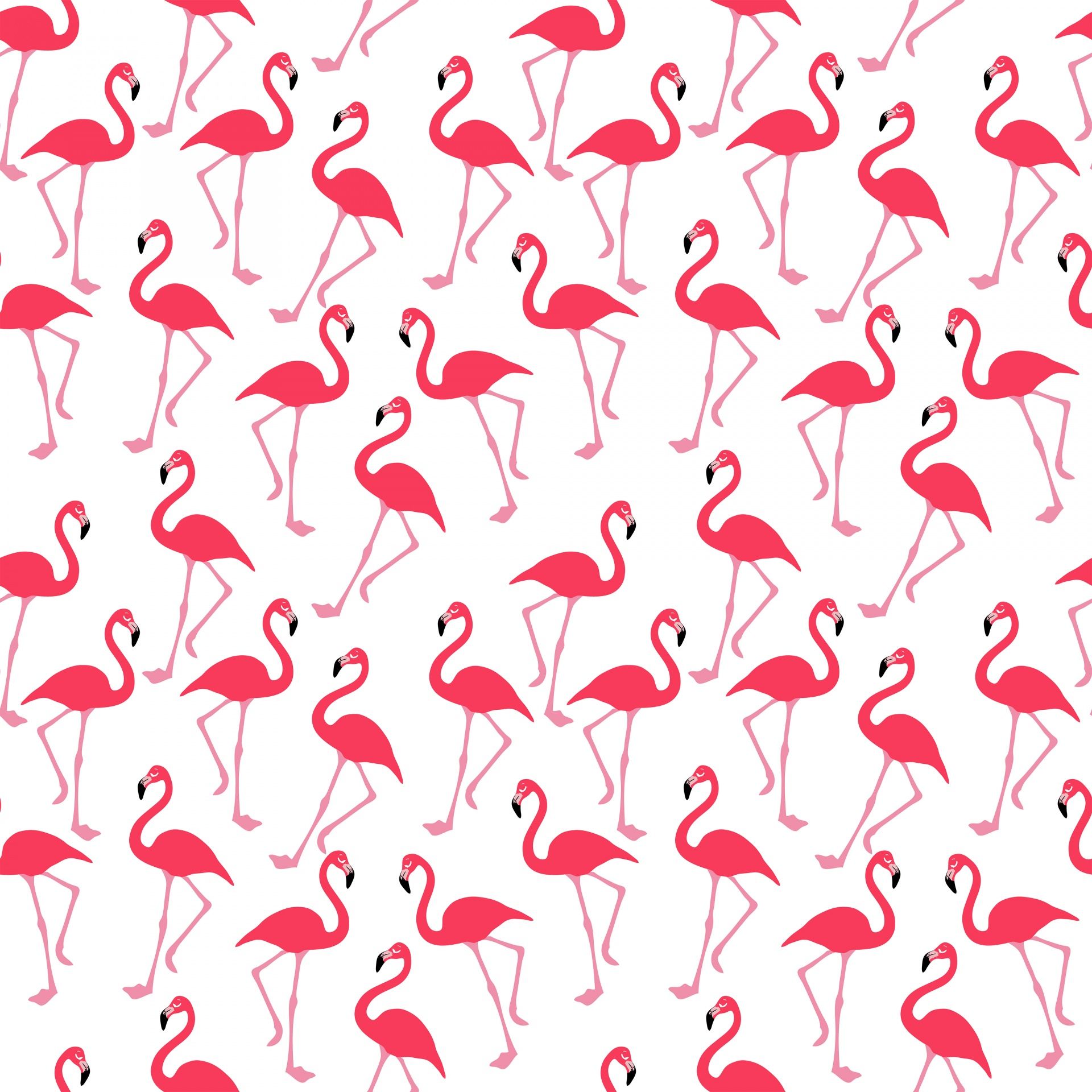 Fondo de pantalla de  1920x1920