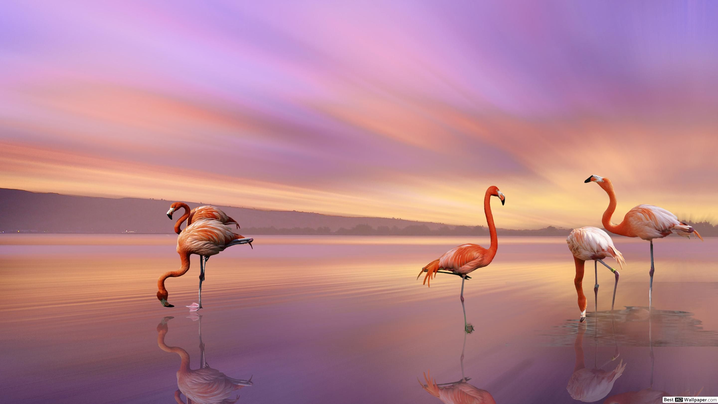Fondo de pantalla de  2880x1620