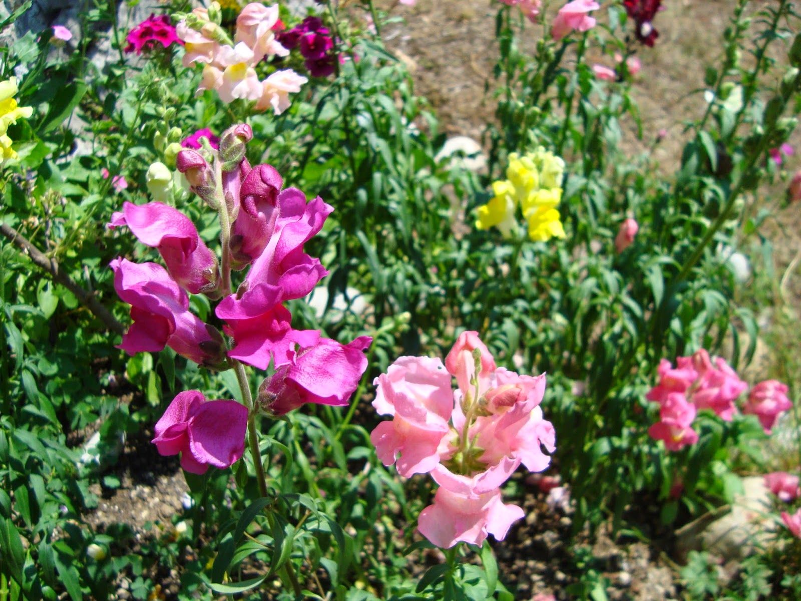 Fondo de pantalla de  1600x1200