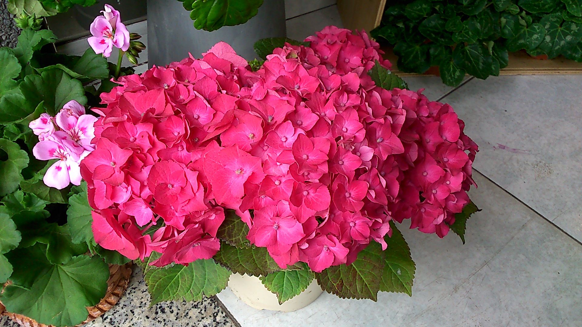 Fondo de pantalla de  1920x1080