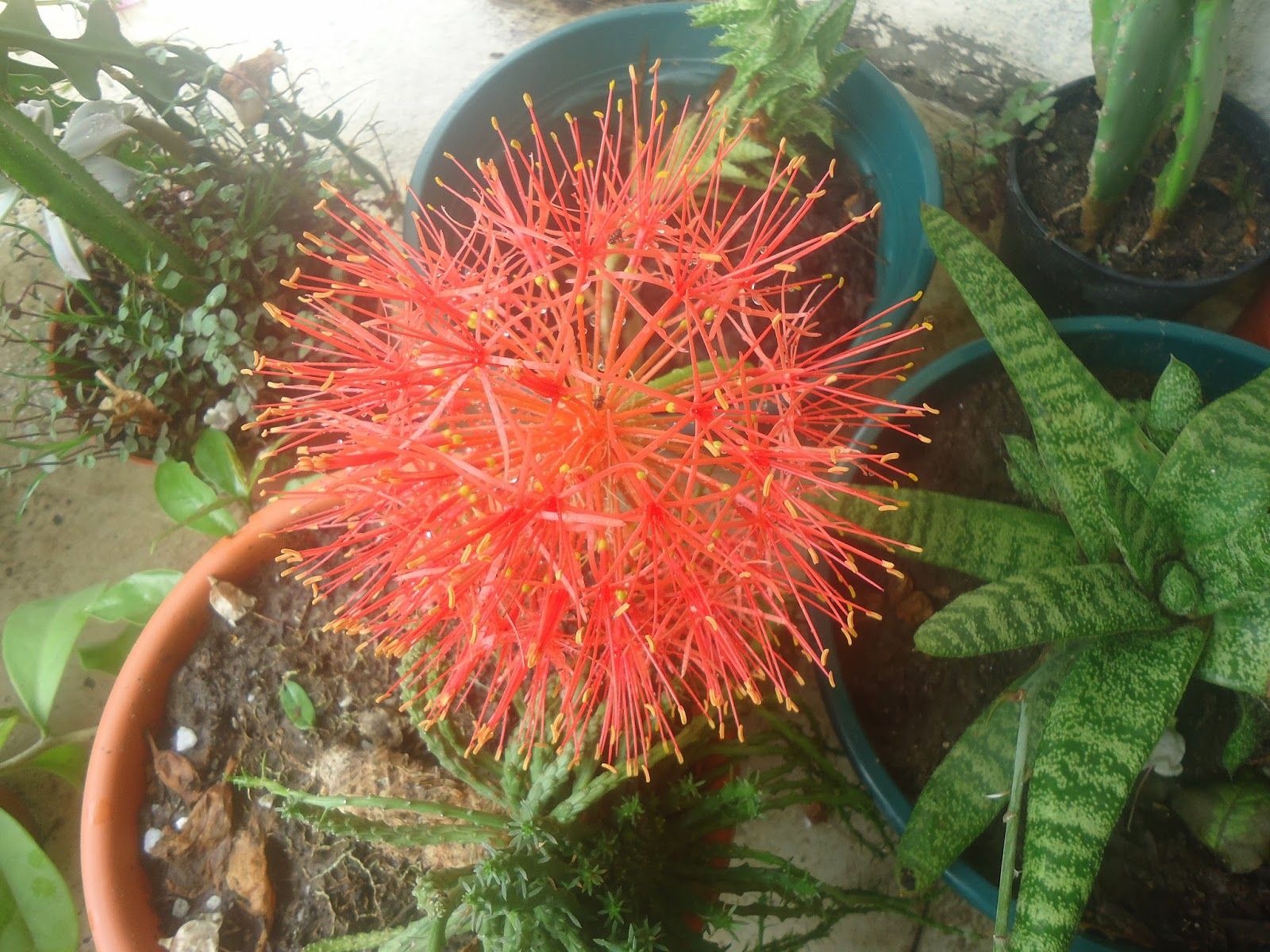 Fondo de pantalla de  1600x1200