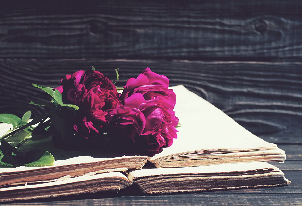 Fondo de pantalla de  1280x873